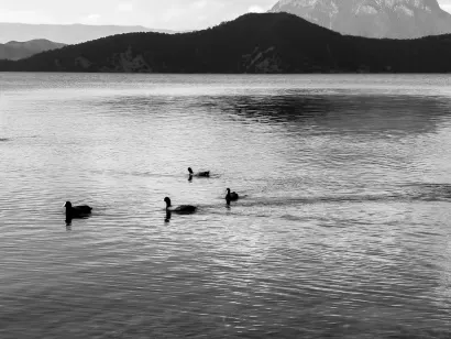 СлотоКеш Казино Мобилно приложение